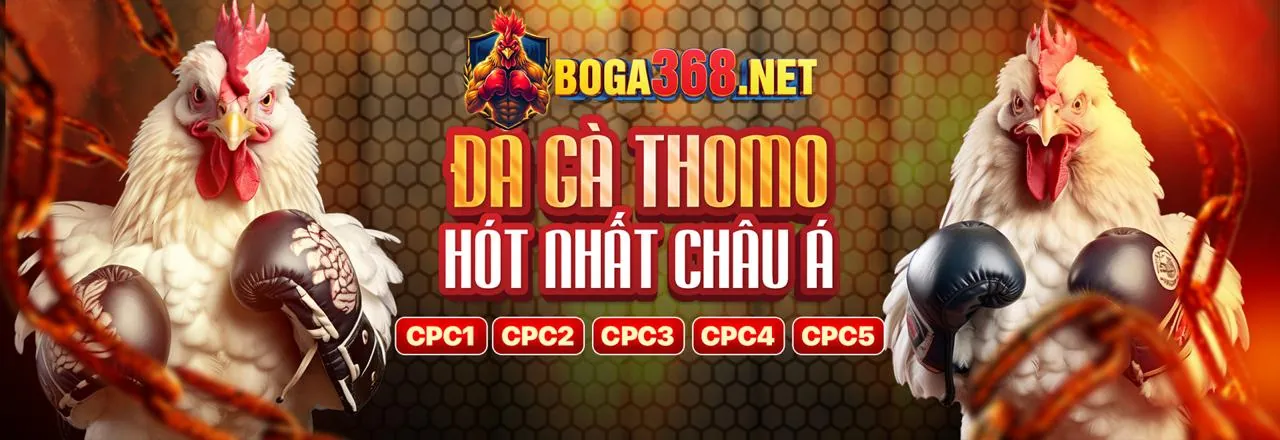 Hình ảnh giới thiệu về nato888 link vào